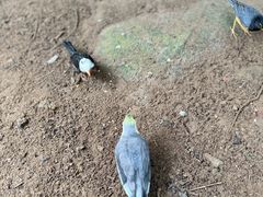 -呀诺达热带雨林