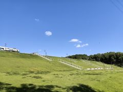 -佛手湖郊野公园