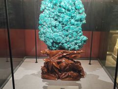-武汉园博园(武汉自然博物馆)
