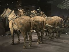 -秦始皇帝陵博物院-丽山园