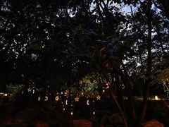 -湖泉半山温泉(湖泉生态园)