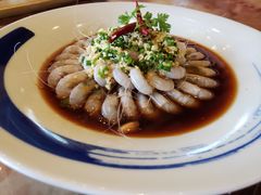 -碧丽宫大酒店(召稼楼店)