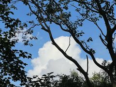 -六合国家地质公园桂子山景区