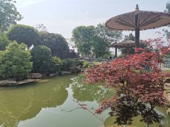 -铁山坪森林公园