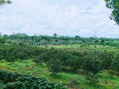 -侯臣咖啡文化村