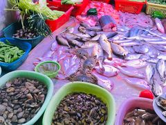 -龙眼南白粥六顺白粥