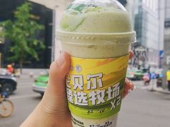 -茉酸奶(春熙路店)