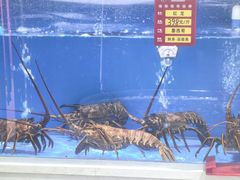 -北塘海鲜·天津菜(大光明桥旗舰店)