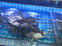 -四囍码头海鲜烧烤自助火锅(外滩南京东路悦荟广场店)