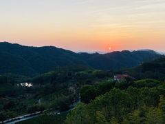 -雁南飞茶田景区