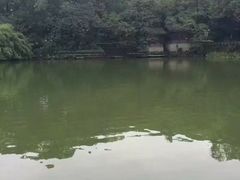 -忠山公园