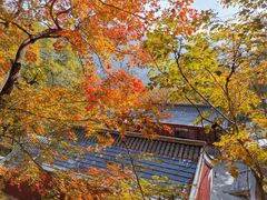 -北京上方山国家森林公园