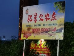 门面-肥舅父農莊