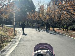 -苏州河梦清园环保主题公园