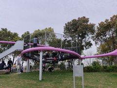 -春花秋色城市公园