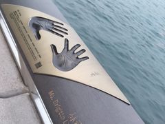 -星光大道