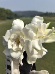 -禾丽康美医疗美容医院