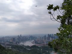 -南山植物园