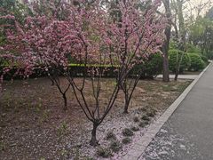 -迎泽公园