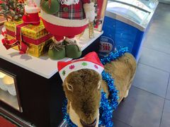 -南美元生态大酒店(海珠店)