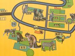 -青藏高原野生动物园