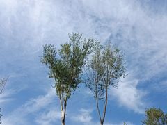 -东郊湿地公园