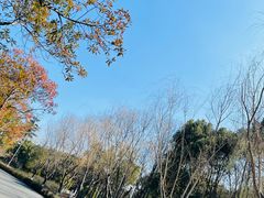 -白塘生态植物园