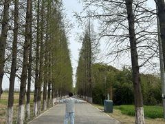 -嘉北郊野公园