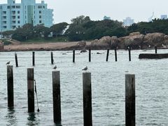 -青岛第二海水浴场