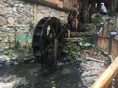 -天门沟九州驿站树上汤泉