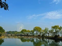 -无锡蠡湖国家湿地公园-蠡园