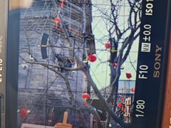 -正阳书局(西四南大街店)