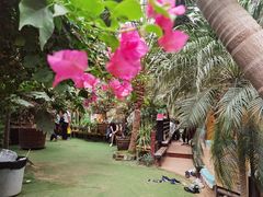 -呀路古热带植物园