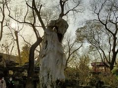 -恭王府博物馆