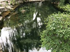 -趵突泉景区