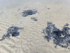 -北海金海湾红树林生态旅游区