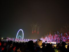 -南京眼步行桥