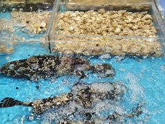 -徐记海鲜(开福寺|伍家岭店)