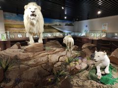 -陕西自然博物馆