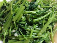 蒜蓉茼蒿-林之六八·6886大连老菜馆