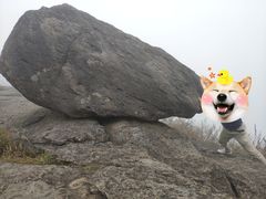 -东白山