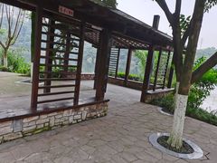 -重庆彩云湖湿地公园