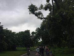 -张坝桂圆林公园