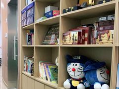 -常青藤国际象棋(新奥店)