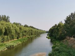 -东郊湿地公园