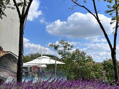 -上海浦江郊野公园-5号停车场