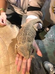 -酷嗒动物文化乐园(cutezoo西溪乐天城店)