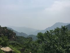 -大岭沟猕猴桃谷风景区