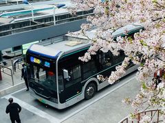 -南浦大桥长途旅游客运站