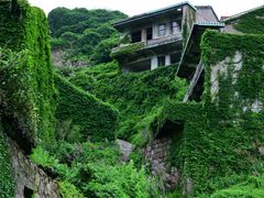 -枸杞岛